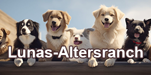 Lunas-Altersranch
